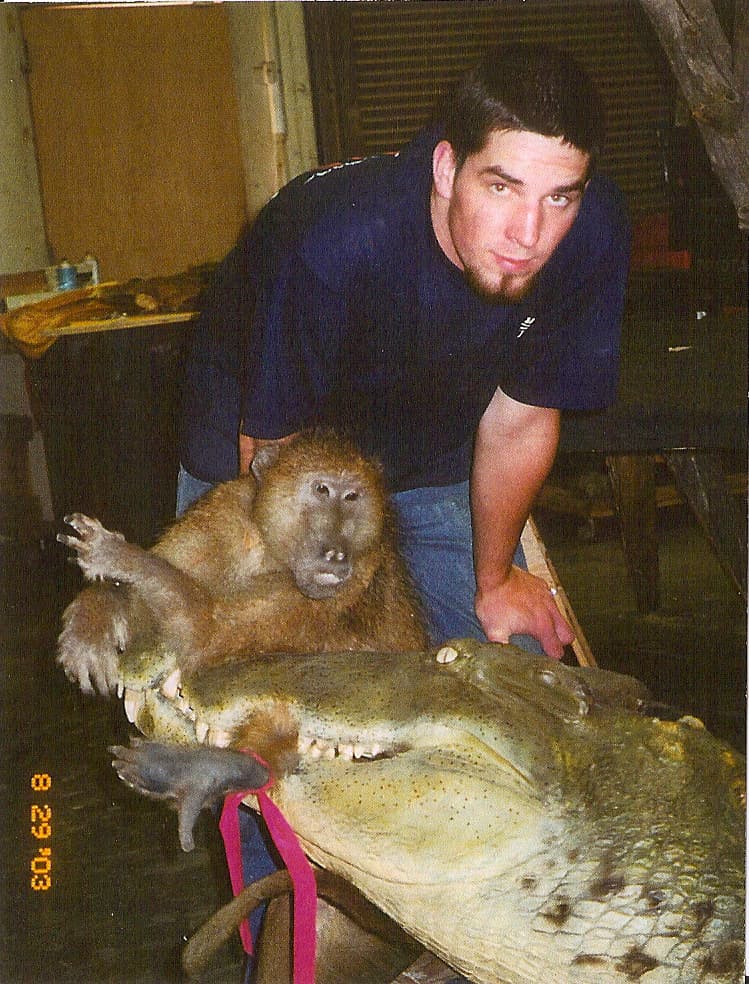Studio mount composition from Wild Reflections — a baboon and crocodile pairing (placeholder until Grant Gullicks portrait is uploaded)
